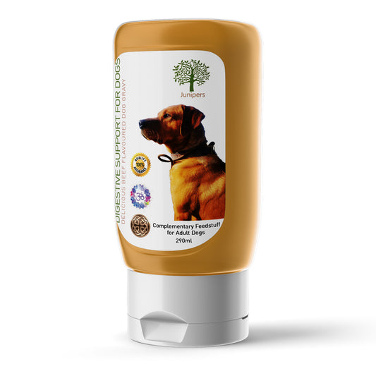 Digestive Support for Dogs - Beef Gravy 290ml