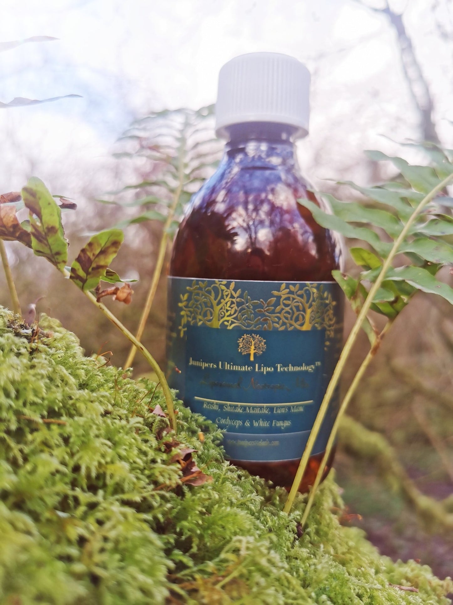 Organic Liposomal Niacinamide Mushroom Nootropic 300ml - Junipers